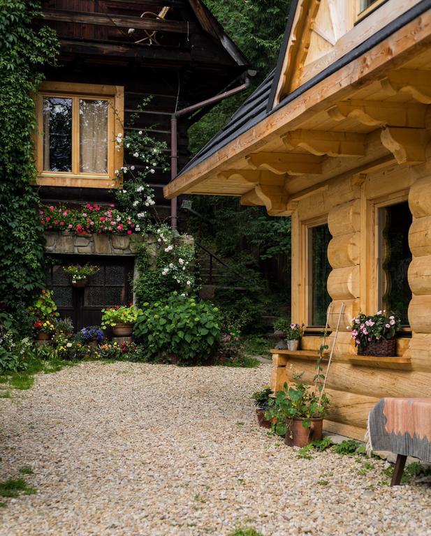 Tatrytop Chatka Kratka Zakopane Kamer foto